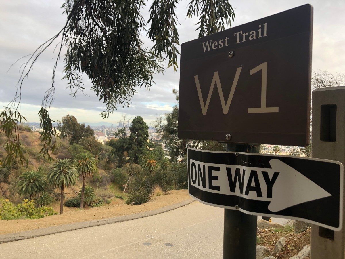 Wrong Way on&nbsp;Runyon